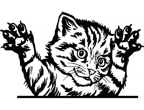 Naklejka kot - mały drapieżnik - 2